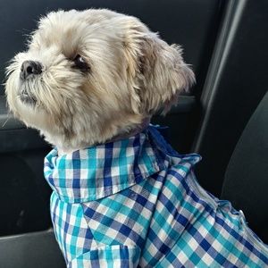 Meet your Posher, Sonja